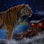 Tigre vs Niño. Photograph, Post-production, Photo Retouching, Digital Photograph, Photographic Composition, and Photomontage project by carloaboladeras - 02.27.2023