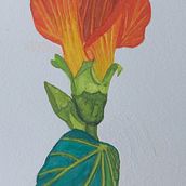 Mi proyecto del curso: Ilustración botánica con acuarela. Traditional illustration, Fine Arts, Painting, Drawing, Watercolor Painting, and Botanical Illustration project by Ramiro Gordon - 02.28.2023