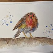 Mijn project van de cursus: Vogels illustreren met artistieke aquarel. Projekt z dziedziny Malowanie akwarelą, Ilustracja naturalist, czna, Trad, c, jna ilustracja, R, sunek realist i czn użytkownika Sabina - 28.02.2023