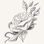 Mi proyecto del curso: Tatuaje naturalista: del trazo a la piel . % J Pp tarafından hazırlanan Geleneksel illüstras, on, Çizim, Dövme Tasarımı, Botanik İllüstras, on, Doğalcı İllüstras, Ve on projesi - 01.30.2023