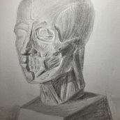 My project for course: Graphite Drawing Techniques for Planar Portraiture. Fine Arts, Sketching, Drawing, Portrait Drawing, Realistic Drawing, and Artistic Drawing project by artieandersen - 03.02.2023