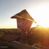 Mi proyecto del curso: Fotografía para principiantes: descubre tu cámara digital. Un progetto di Fotografia, Fotografia digitale e Composizione fotografica di Fran Di Benedetto - 02.03.2023