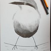 My project for course: Artistic Watercolor Techniques for Illustrating Birds Ein Projekt aus dem Bereich Traditionelle Illustration, Aquarellmalerei, Realistische Zeichnung und Naturalistische Illustration von Max Linden - 04.03.2023