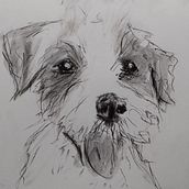 Mein Abschlussprojekt für den Kurs: Tiere zeichnen mit Kohle und Tusche. Fine Arts, Drawing, Ink Illustration, and Naturalistic Illustration project by Katrin Dübbers - 03.05.2023