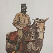 Went on a photo safari with my favorite horse. Arts, Crafts, Collage, Paper Craft, and Editorial Illustration project by Gisele Therrien - 03.05.2023