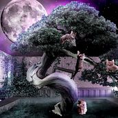 Mon projet du cours : Les secrets du photomontage et de la retouche créative. Photograph, Photograph, Post-production, VFX, Photo Retouching, Fine-Art Photograph, Photographic Composition, and Photomontage project by Maria Agop - 03.06.2023