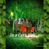 A view in a cats life. Een project van Film, video en televisie, Film,  Video, Social media, Audiovisuele productie y Stripboek van Fotos Emmanouel - 02.03.2023