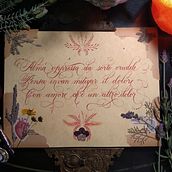 "Flor en Floritura". Calligraph, Lettering, H, and Lettering project by Aldo Ríos Mendoza - 03.06.2023