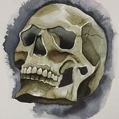 Skull. Watercolor Painting project by dawncseke - 03.07.2023