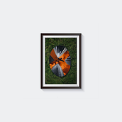 Fotomontaje (práctica para el curso de Adobe Photoshop con Carles Marsal) . Photomontage proyek oleh Carmen Trujillo Morales - 08.17.2022