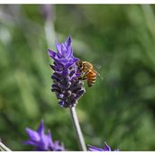 Patagonia Argentina Ein Projekt aus dem Bereich Fotografie, Außenfotografie, Dokumentarfotografie, Fotografische Komposition und Fotografie für Instagram von PATRICIA CORTES - 07.03.2023