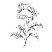 Mi proyecto del curso: Tatuaje para principiantes. Un proyecto de Diseño de tatuajes e Ilustración tradicional de victoria_f - 02.03.2023