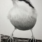 My project for course: Artistic Watercolor Techniques for Illustrating Birds. Un proyecto de Ilustración tradicional, Pintura a la acuarela, Dibujo realista e Ilustración naturalista				 de monikabartalis - 09.03.2023