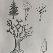 Practicas arboles. Pencil Drawing project by Anaïs Castro Pros - 03.09.2023