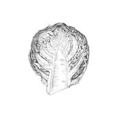 Fruits and vegetables in graphite. Un progetto di Illustrazione tradizionale di Penny Brown - 09.03.2023