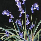 Botanical collages. Un progetto di Collage di Penny Brown - 09.03.2023