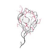Mi proyecto del curso: Tatuaje para principiantes. Tattoo Design project by Ariel Reyes - 03.08.2023