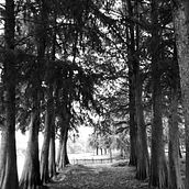 Popurrí . % Verónica Carpintero tarafından hazırlanan Fotoğrafçılık projesi - 03.10.2023