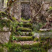 The House With All the Vines. Un progetto di Scrittura, Stor, telling, Narrativa, Scrittura di narrativa fiction e Scrittura creativa di Nicole Piccolo - 10.03.2023