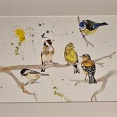 My project for course: Artistic Watercolor Techniques for Illustrating Birds. Watercolor Painting project by Fionnuala Mc Govern - 03.11.2023