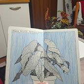 Il mio progetto del corso: Diario illustrato: riempi il tuo sketchbook di esperienze. Un progetto di Illustrazione tradizionale, Bozzetti, Disegno, Sketchbook e Illustrazione con inchiostro di Stefania Rinaldi - 12.03.2023