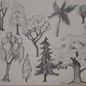 Práctica arboles . Un proyecto de Dibujo a lápiz de violeta_guzmanm - 13.03.2023
