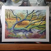 Mein Abschlussprojekt für den Kurs: Realistische Landschaften in Aquarell malen. Un projet de Beaux Arts, Peinture, Esquisse , Aquarelle et Illustration naturaliste de Jens Landefeld - 13.03.2023