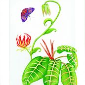 Il mio progetto del corso: Tecniche di illustrazione e arte botanica contemporanea. Traditional illustration, Fine Arts, Watercolor Painting, Botanical Illustration, and Gouache Painting project by Claudia Viel - 03.13.2023