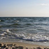 Mi proyecto del curso: Escritura de guion para cine y televisión. Un proyecto de Cine, vídeo, televisión, Escritura, Televisión, Realización audiovisual, Guion, Narrativa, Escritura de ficción y Escritura creativa de José Antonio Meneses Mora - 15.03.2023