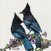 Mi proyecto del curso: Ilustración naturalista con bolígrafo  . % Crisángela Duin tarafından hazırlanan Geleneksel illüstras, on, Çizim, Gerçekçi Çizim, Doğalcı İllüstras, Ve on projesi - 03.15.2023