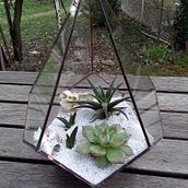 Mon projet du cours : Création de terrariums selon la technique Tiffany. Projekt z dziedziny Projektowanie dodatków, Projektowanie wnętrz,  Dekoracja wnętrz, DIY, Kompoz i cje kwiatowe i botaniczne użytkownika clelia_collignon - 15.03.2023