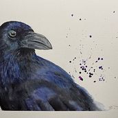 My project for course: Expressive Animal Portraits in Watercolor Crow. Traditional illustration, Watercolor Painting, Realistic Drawing, and Naturalistic Illustration project by ableitung.misc - 03.15.2023