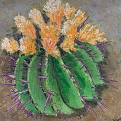 Cactus. Fine Arts project by Sarah Mullins - 03.18.2023
