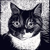 Scout. Een project van Traditionele illustratie van Janice Brown Daly - 19.03.2023