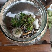 Arte Vegetal, proyecto final. Een project van Bloem- en plantenschikken, Ruimtelijk ontwerp,  Creativiteit, L, scaping, Interieurontwerp, Craft y  Ontwerp van Agustina Aquilano - 20.03.2023