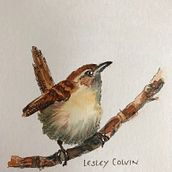 Watercolour Wren. Un proyecto de Ilustración tradicional de Lesley Colvin - 20.03.2023