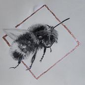 My project for course: Illustrating the Natural World with Watercolor and Charcoal. Traditional illustration, Painting, and Naturalistic Illustration project by debashcrofts - 03.20.2023