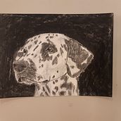Mein Abschlussprojekt für den Kurs: Tiere zeichnen mit Kohle und Tusche. Fine Arts, Drawing, Ink Illustration, and Naturalistic Illustration project by Eva Spielmann - 03.20.2023