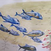 Il mio progetto del corso: Illustrazione di universi marini ad acquerello. Un proyecto de Ilustración tradicional, Pintura, Pintura a la acuarela e Ilustración naturalista				 de Milena Carli - 21.03.2023