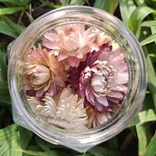 Lá do Afeto - Flores Secas & CO.. Accessor, Design, Arts, Crafts, Events, Creativit, Floral, and Plant Design project by Simonne Almeida - 03.20.2023