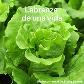 Labranza de una vida. Film, Video, and TV project by Fiona Lemos Pérez - 03.22.2023