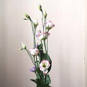 Mi proyecto del curso: Diseño de arreglos con flores de temporada. Un proyecto de Diseño de interiores, Paisajismo, Decoración de interiores, DIY, Diseño floral y vegetal de Luisa Pérez Gortari - 22.03.2023