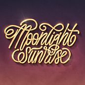 My project for course: Designing 3D Chrome Letters in Procreate. T, pograph, T, pograph, and Design project by ladyrattler33 - 03.22.2023