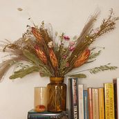 Flower orange. Floral, and Plant Design project by olivia_in_venice - 03.23.2023