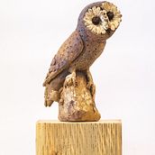 Sculpt an owl with Helen Cammiss. Arts, Crafts, 3D, Art Direction, Education, Fine Arts, Sculpture, Creativit, 3D Modeling, and Ceramics project by The ClayRooms - 03.23.2023
