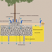 Design planting pit for trees in the urban environment. L, and scape Architecture project by Michiel Mol - 07.08.2017