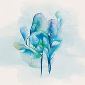 Ilustraciones / Dibujos / Acuarelas. Un proyecto de Ilustración tradicional, Diseño y Bellas Artes de maria_piegari_dg - 23.03.2023