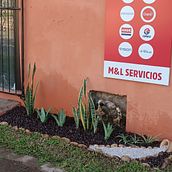 Mi proyecto del curso: Diseño de espacios verdes para tu casa. L, scape Architecture, Floral, Plant Design, and Spatial Design project by Mota Cabañas - 03.24.2023