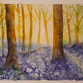 Bluebell woods in the morning light. Un proyecto de Pintura de Sonia Hill - 23.03.2023