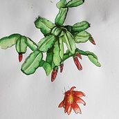 My project for course: Botanical Sketchbooking: A Meditative Approach. Traditional illustration, Sketching, Drawing, Watercolor Painting, Botanical Illustration, and Sketchbook project by Toni Winbourne - 03.25.2023